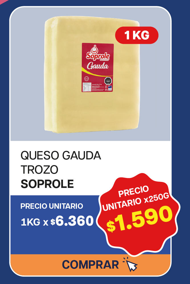  QUESO GAUDA SOPROLE